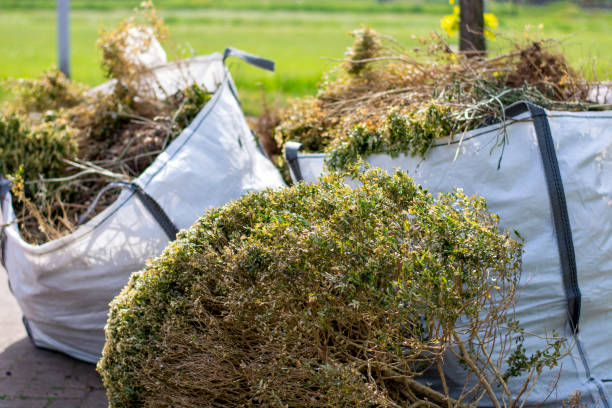 Best Construction Debris Removal  in Lame Deer, MT